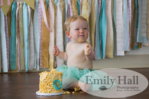 Emily Hall Photography - Charlotte - 1-3412