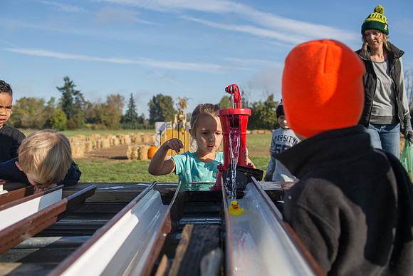 YMCA Pumpkin Patch 2019-9149