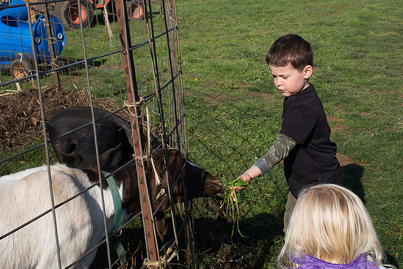 YMCA Pumpkin Patch 2019-9263