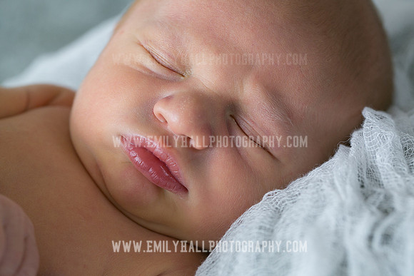 Emily Hall Photography - Owen-9743