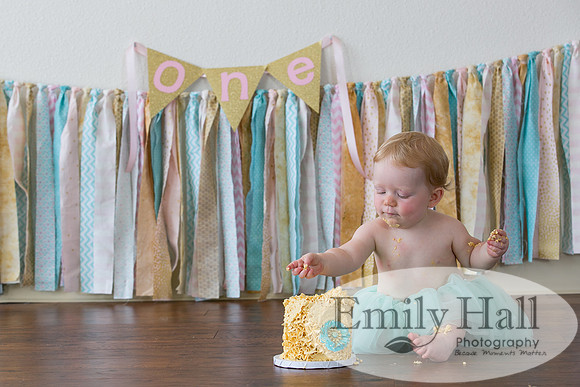 Emily Hall Photography - Charlotte - 1-3393