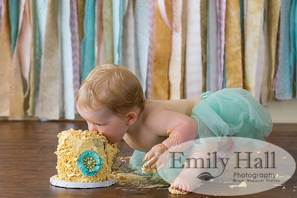Emily Hall Photography - Charlotte - 1-3495