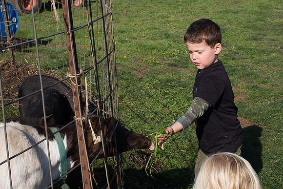 YMCA Pumpkin Patch 2019-9264