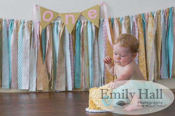 Emily Hall Photography - Charlotte - 1-3381