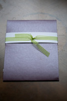 Emily Hall Photography - Emily & Bjorn's Wedding-5197
