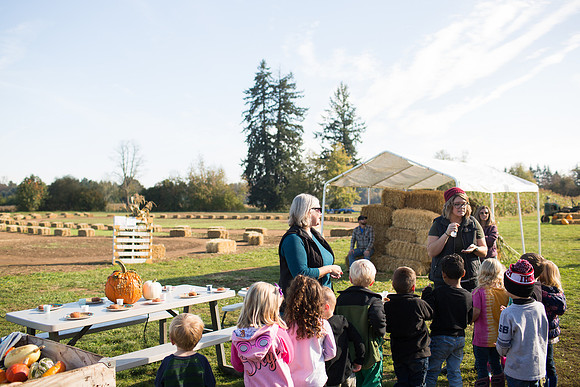 YMCA Pumpkin Patch 2019-9270