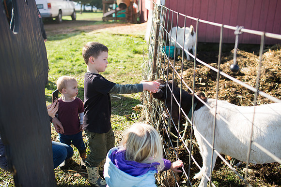 YMCA Pumpkin Patch 2019-9241