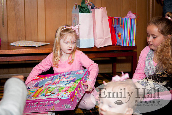 Emily Hall Photography - Vivian's Birthday-7347