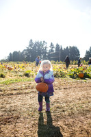 YMCA Pumpkin Patch 2019-9132