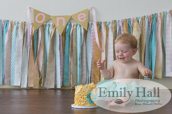 Emily Hall Photography - Charlotte - 1-3385