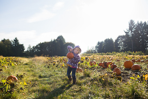 YMCA Pumpkin Patch 2019-9134