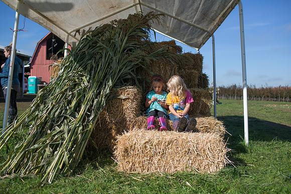 YMCA Pumpkin Patch 2019-9305