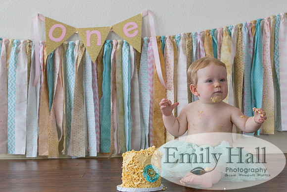 Emily Hall Photography - Charlotte - 1-3382