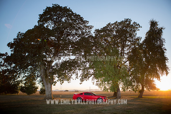 Emily Hall Photography - Senior Portraits-6564