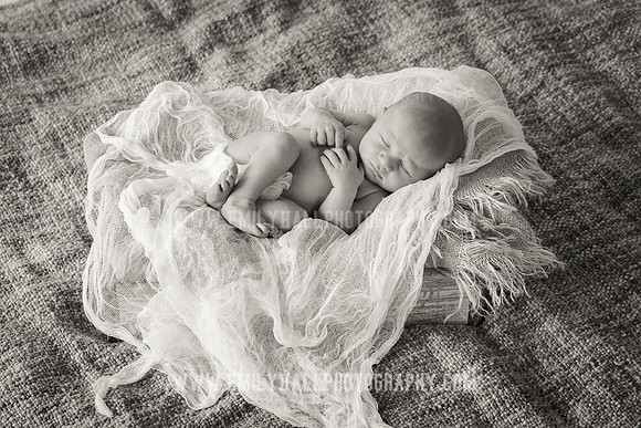 Emily Hall Photography - Owen-9734-2