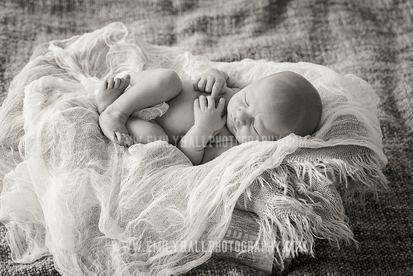 Emily Hall Photography - Owen-9739-2