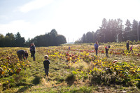 YMCA Pumpkin Patch 2019-9130