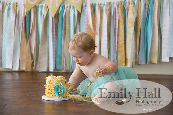Emily Hall Photography - Charlotte - 1-3496