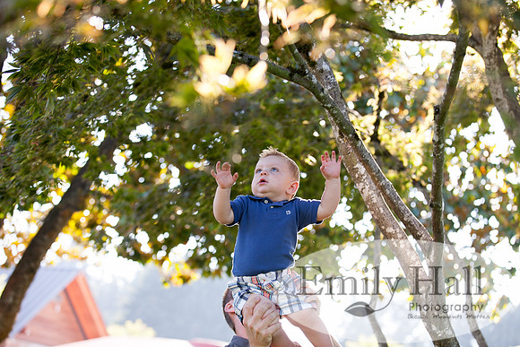 Emily Hall Photography - Weise Family-4762