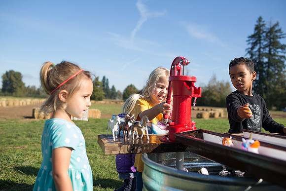 YMCA Pumpkin Patch 2019-9301