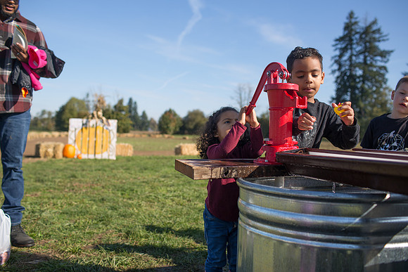 YMCA Pumpkin Patch 2019-9303