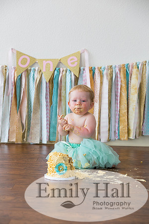 Emily Hall Photography - Charlotte - 1-3511