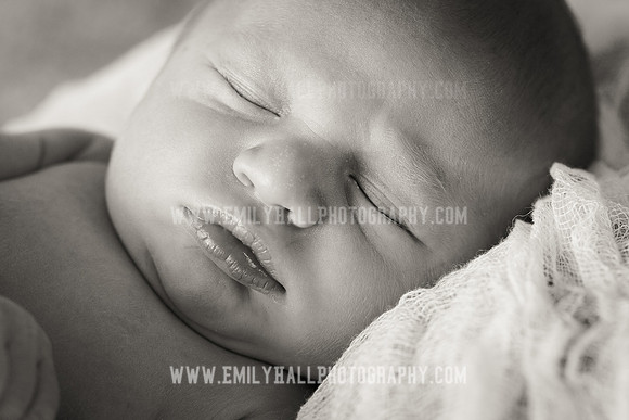 Emily Hall Photography - Owen-9743-2