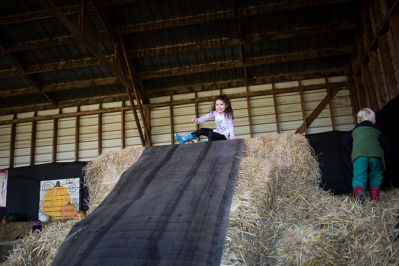 YMCA Pumpkin Patch 2019-9232