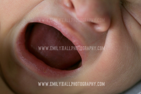 Emily Hall Photography - Owen-9746