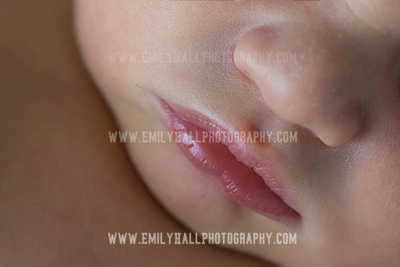 Emily Hall Photography - Owen-9744