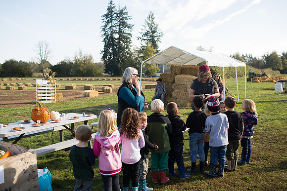 YMCA Pumpkin Patch 2019-9274