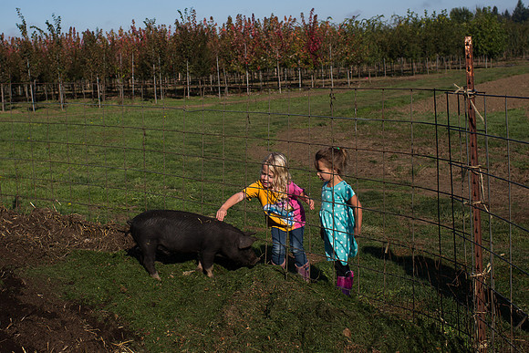 YMCA Pumpkin Patch 2019-9255