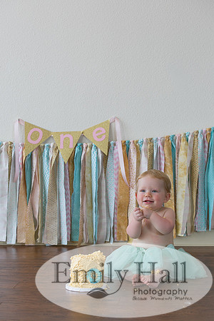 Emily Hall Photography - Charlotte - 1-3399