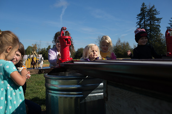 YMCA Pumpkin Patch 2019-9294
