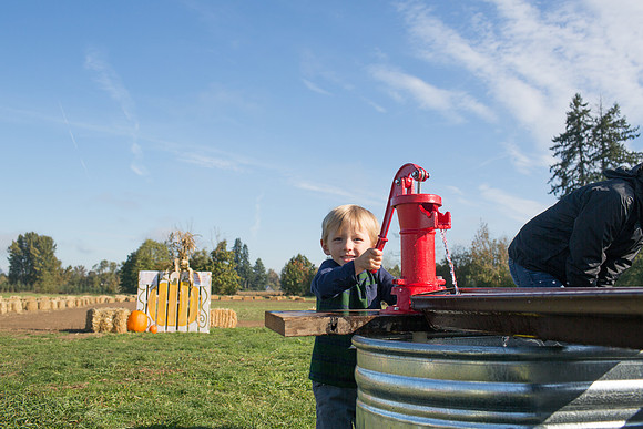 YMCA Pumpkin Patch 2019-9195