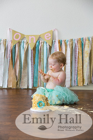 Emily Hall Photography - Charlotte - 1-3509
