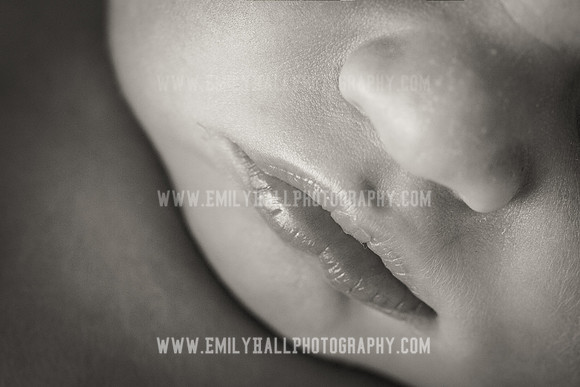 Emily Hall Photography - Owen-9744-2