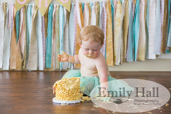Emily Hall Photography - Charlotte - 1-3533