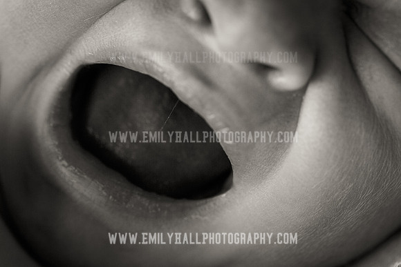 Emily Hall Photography - Owen-9746-2