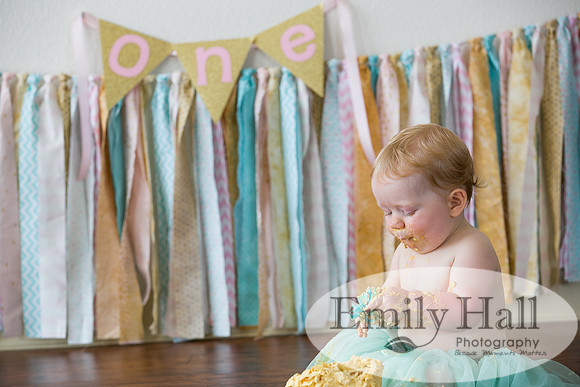 Emily Hall Photography - Charlotte - 1-3523
