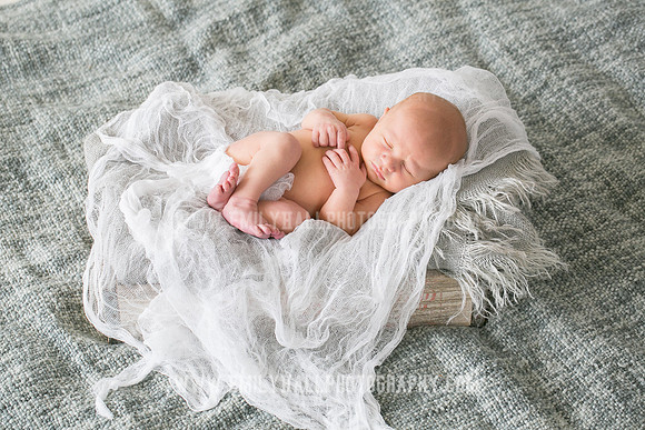 Emily Hall Photography - Owen-9734