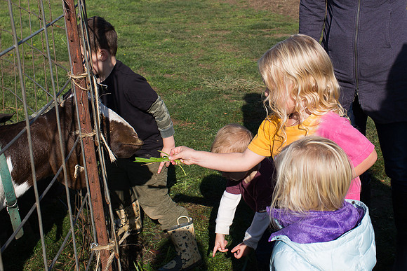 YMCA Pumpkin Patch 2019-9266