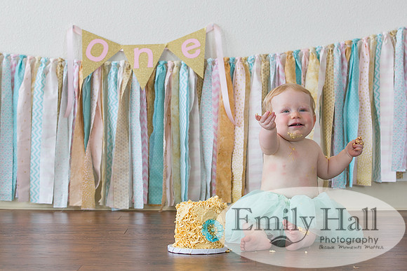 Emily Hall Photography - Charlotte - 1-3392