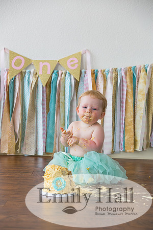 Emily Hall Photography - Charlotte - 1-3510