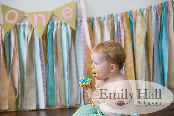 Emily Hall Photography - Charlotte - 1-3521