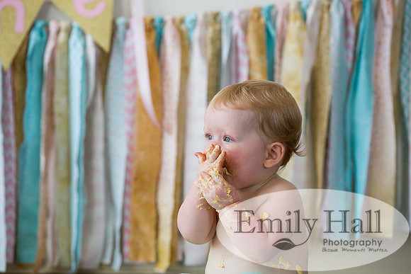 Emily Hall Photography - Charlotte - 1-3505
