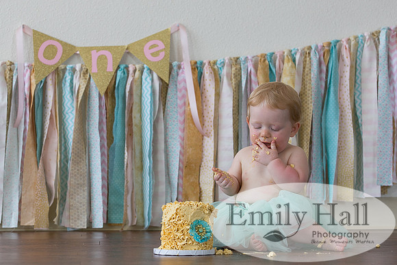 Emily Hall Photography - Charlotte - 1-3436