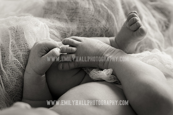 Emily Hall Photography - Owen-9756-2
