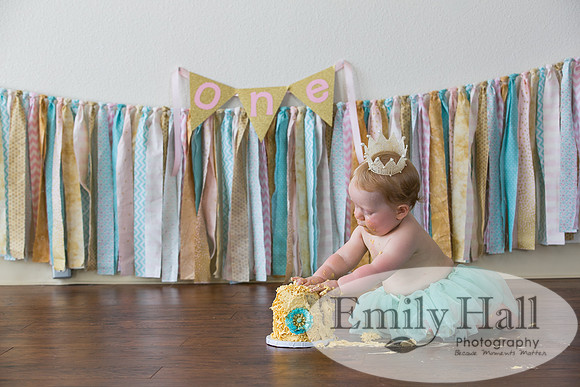 Emily Hall Photography - Charlotte - 1-3480