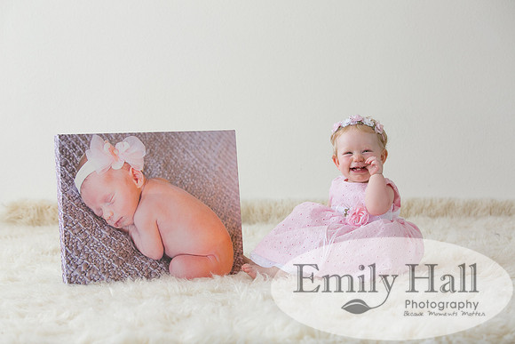 Emily Hall Photography - Charlotte - 1-3288